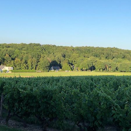 Gite De La Fontaine Bondree Vernou-sur-Brenne Eksteriør billede